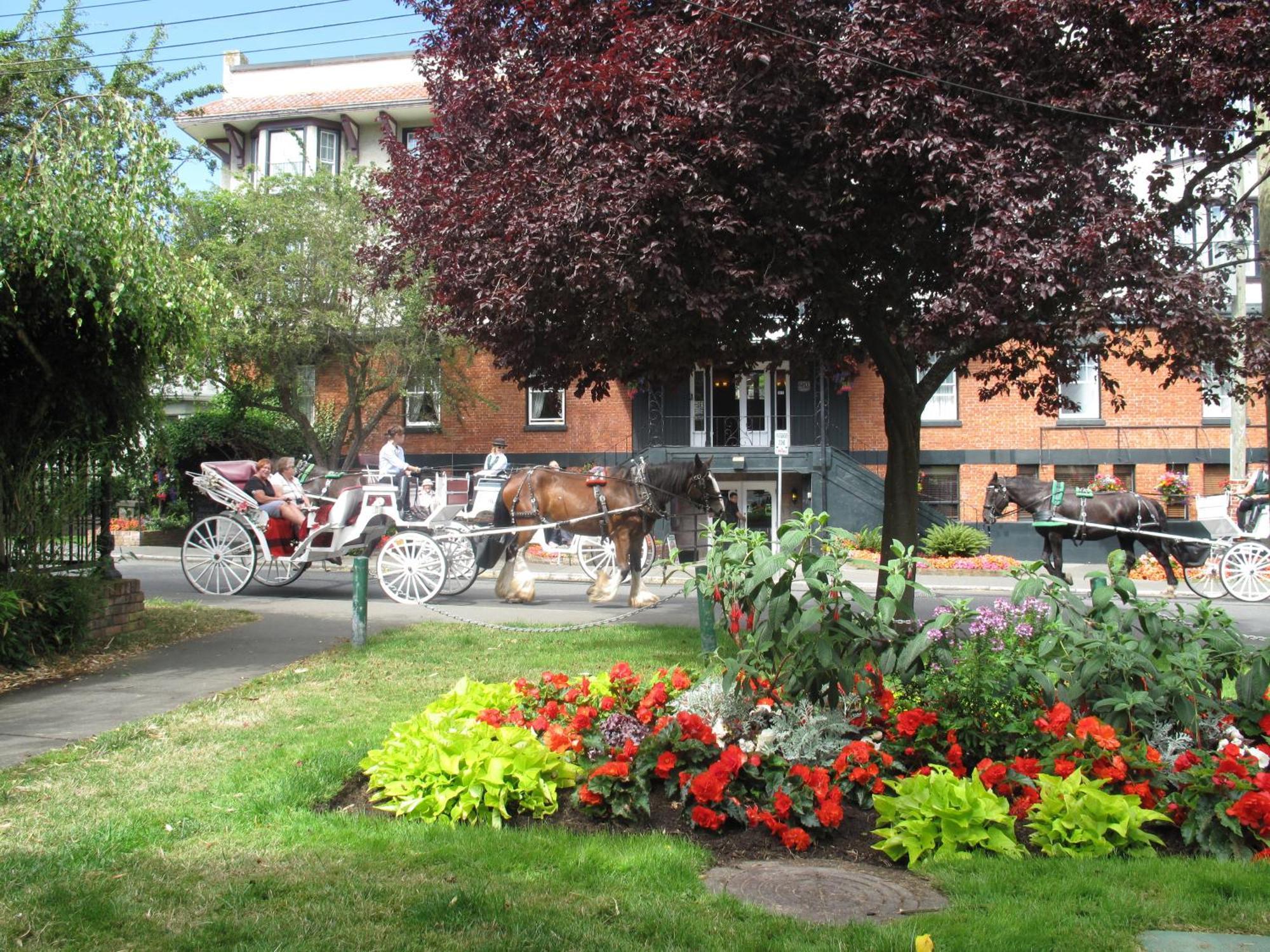 James Bay Inn Hotel, Suites & Cottage Victoria Dış mekan fotoğraf